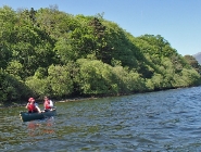 Canadian Canoe
