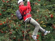 Zipline Smile