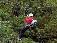 Ziplines